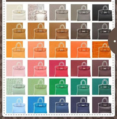 hermes birkin colours 2018|what color is hermes beton.